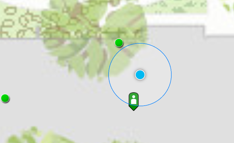 Workforce location accuracy